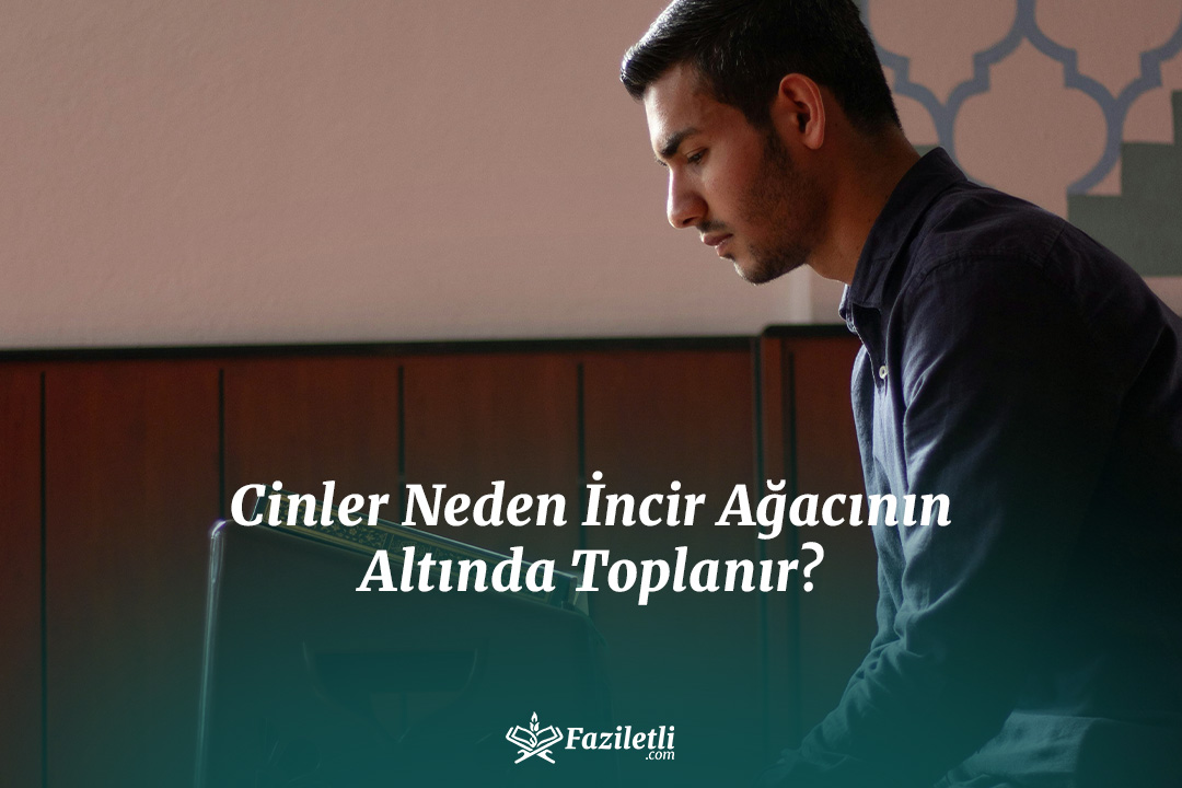 Cinler Neden İncir Ağacının Altında Toplanır? Cinler Neden İncir Ağacının Altında Toplanır?